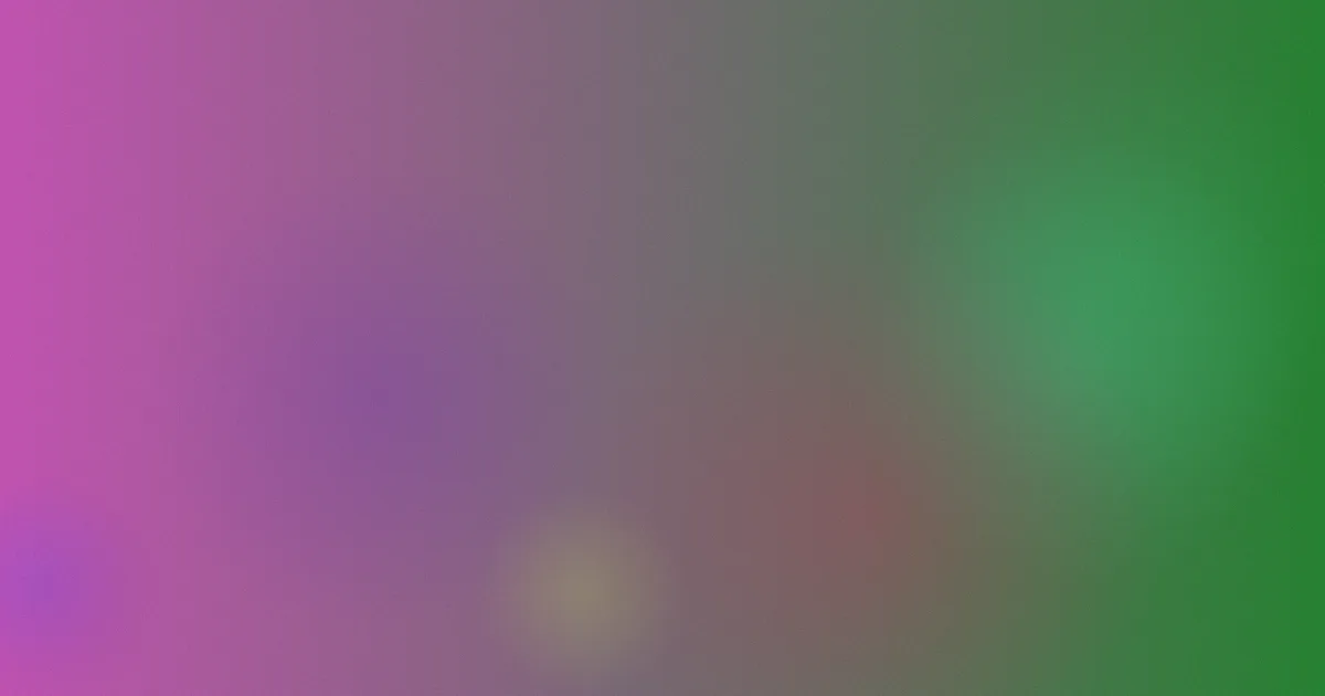 papapa推荐：新手四项选择对比